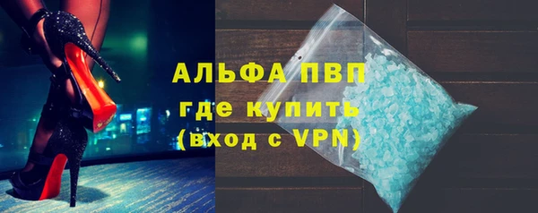 прущие грибы Заволжье