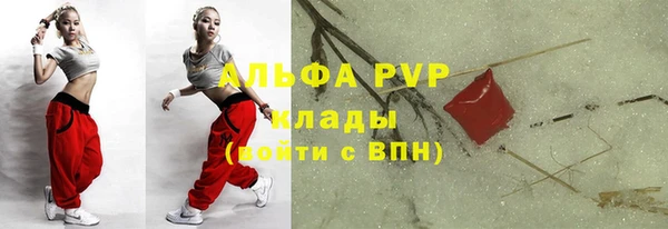 прущие грибы Заволжье