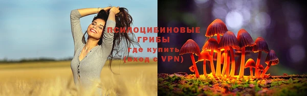 прущие грибы Заволжье
