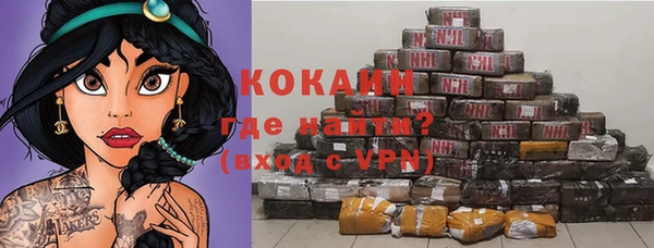 прущие грибы Заволжье