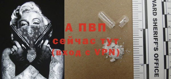 прущие грибы Заволжье
