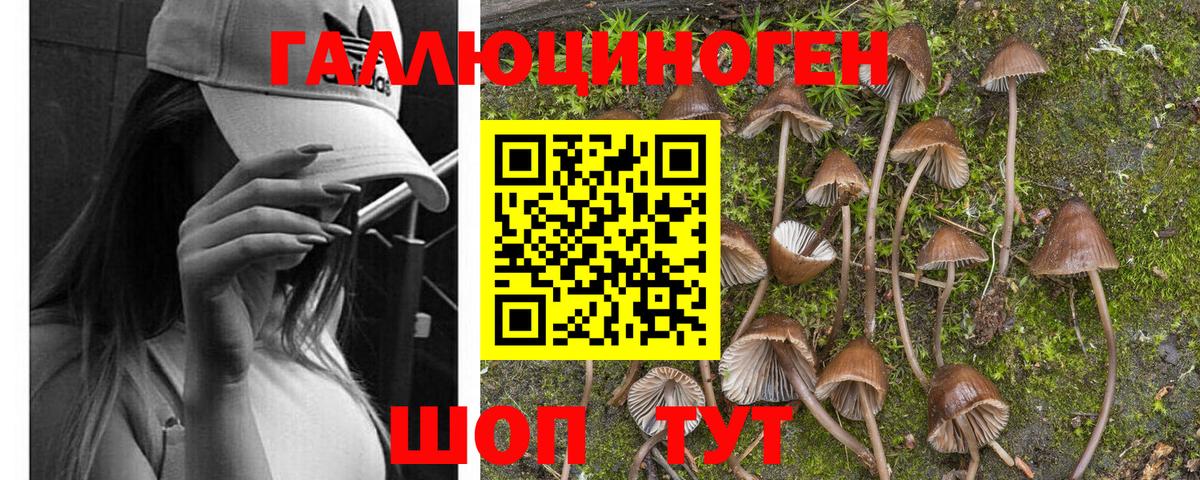 Сибай  Галлюциногенные грибы GOLDEN TEACHER  Галлюциногенные грибы мицелий  Вход с VPN 