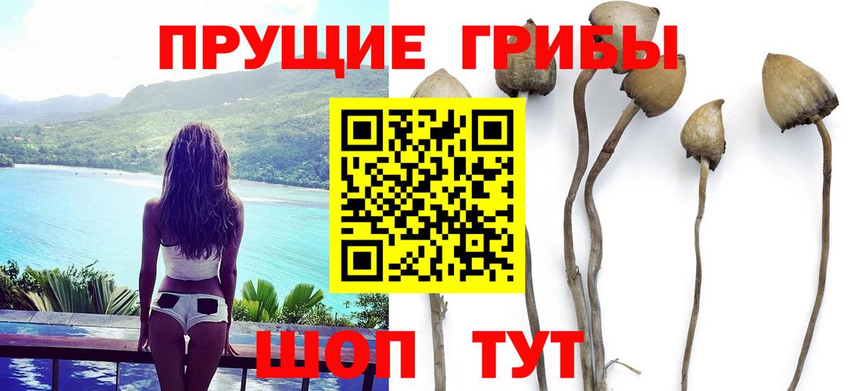 Псилоцибиновые грибы MAGIC MUSHROOMS  Сибай 